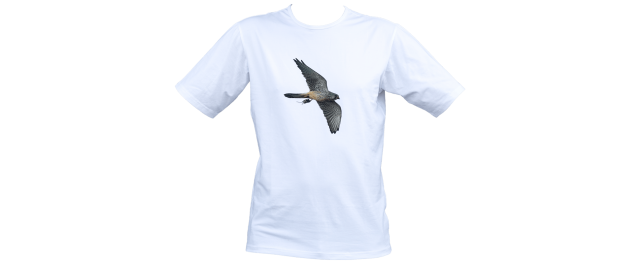 T-shirt CK (Tornfalk)