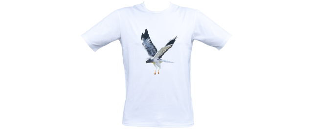 T-shirt HH (Blå Kärrhök)